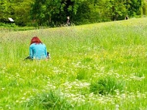 Meadow, Holywells Park. Photo: www.parrishcolmanphotography.co.uk