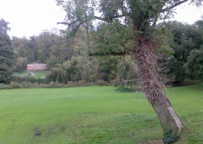 Holywells Park. Photo: Sheila Roughton