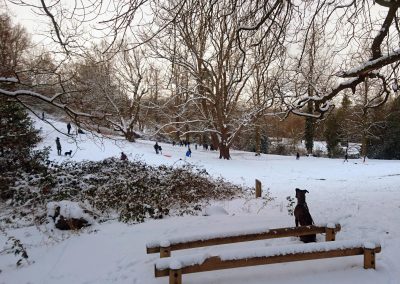 Holywells Park in the snow, 28 February 2018. TT Bloomfield