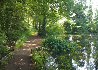 Ponds in Holywells Park Ipswich