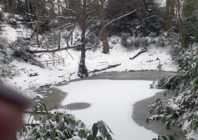 Snow Scene in Holywells Park. Photo: Sheila Roughton
