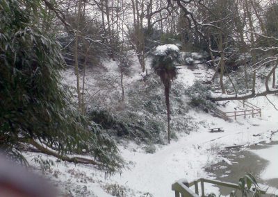 Snow Scene in Holywells Park. Photo: Sheila Roughton