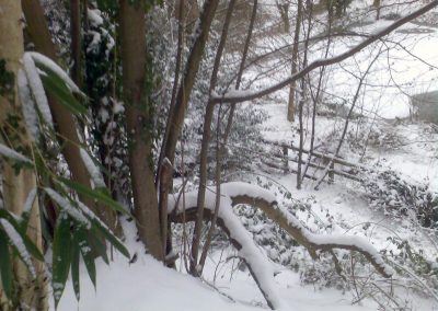 Snow Scene in Holywells Park. Photo: Sheila Roughton