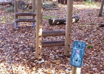 Trim trail at Holywells park. Photo R Bloomfield