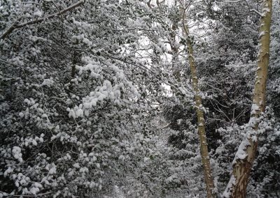 Holywells Park in the snow, 28 February 2018. Sarah Turner