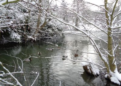 Holywells Park in the snow, 28 February 2018. Sarah Turner