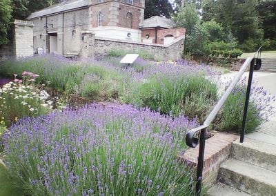 Lavender and stable block 2018. Photo: Sheila Roughton