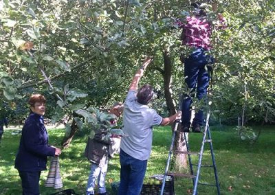 Apple Picking 29 September 2018