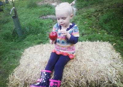 Apple Day 2018
