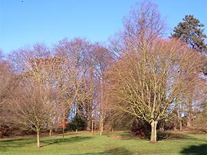 Holywells Park awarded Tripadvisor Travellers’ Choice award 2020