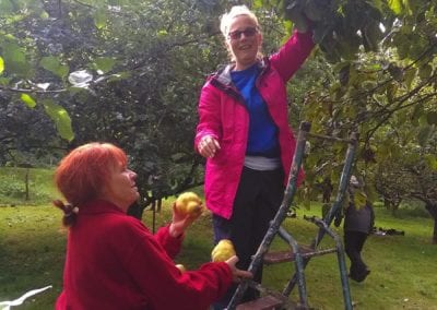 Apple picking 26-9-19