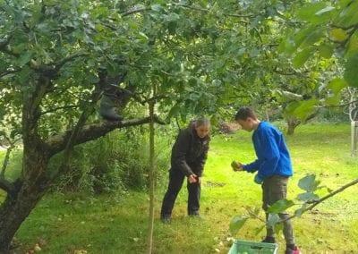 Apple picking 26-9-19