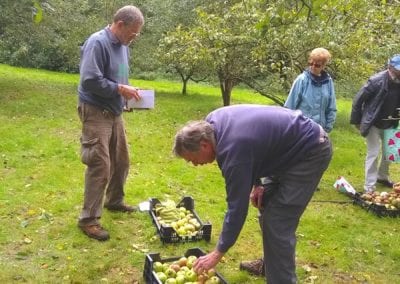 Apple picking 26-9-19
