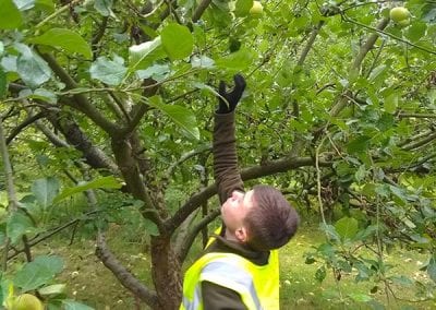 Apple Picking Day, 27 September 2020