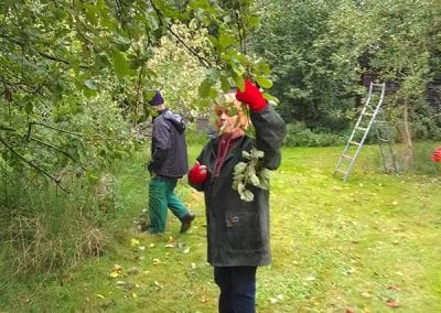 Apple Picking Day, 27 September 2020