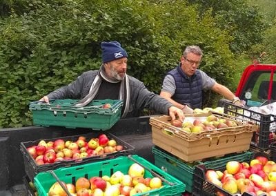 Apple Picking Day, 27 September 2020