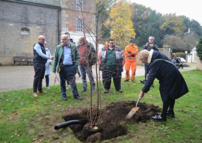 Tree of Trees planted in Holywells Park 2/11/2022 - Cllr Liz Harsant