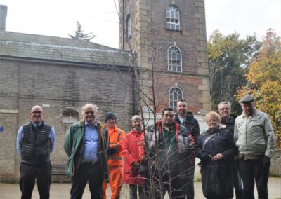 Silver Birch from the ‘Tree of Trees’ planted in Holywells Park