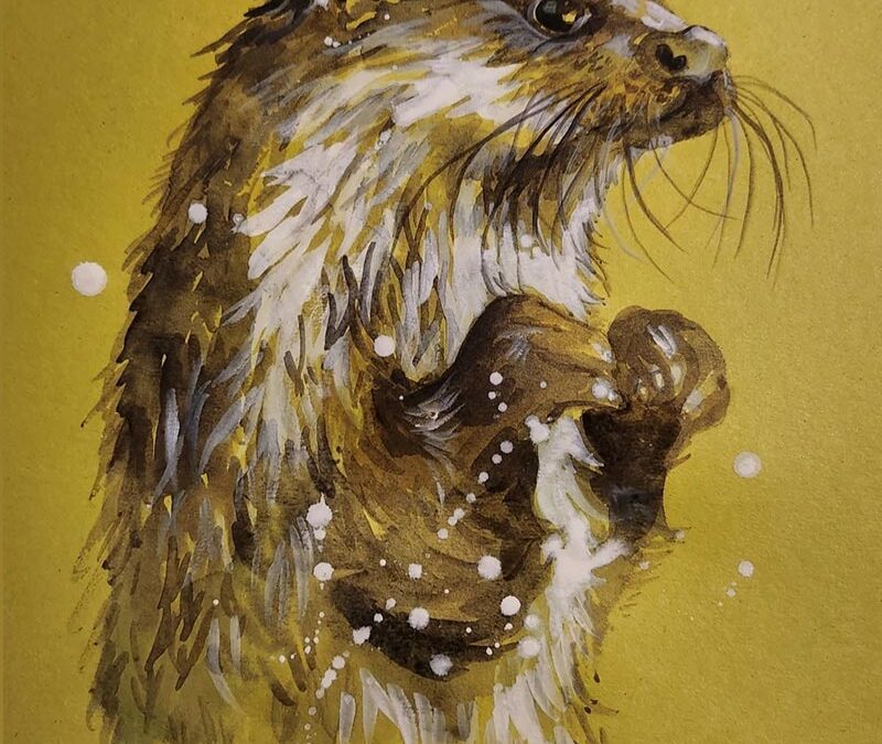 In Loving Memory to Holywells Park Otter