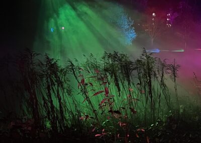 Illuminate - Faye Harburt