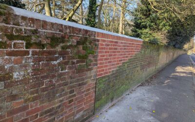 Bricks in the wall