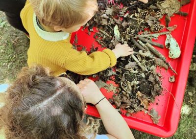 First 'Wild In the Orchard' Event