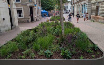 Greener Ipswich and Holywells Park
